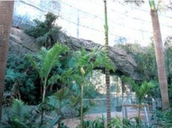 北京香山植物园假山