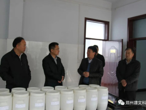 原新密市市委副书记、市长张红伟莅临公司检查指导工作